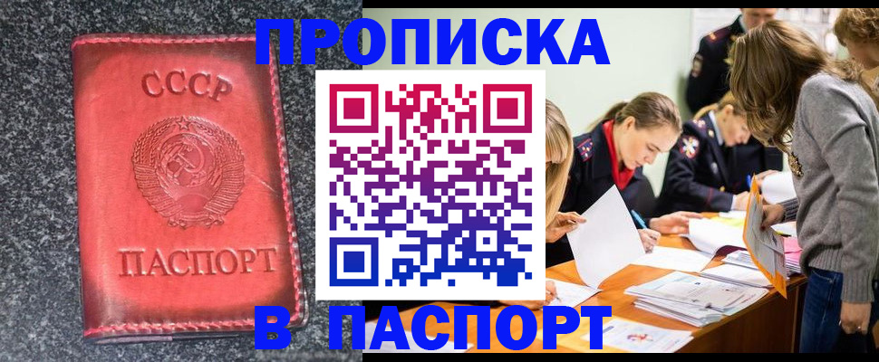 прописка для школы в Ленинске